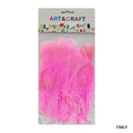 MG Traders 1 Feather Feather Soft Big L Pink (Fsblp) (10Pcs)