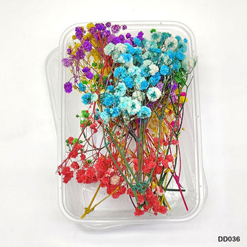 Dd036 Dry Flower Box