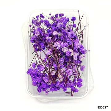 Dd037 Dry Flower Box