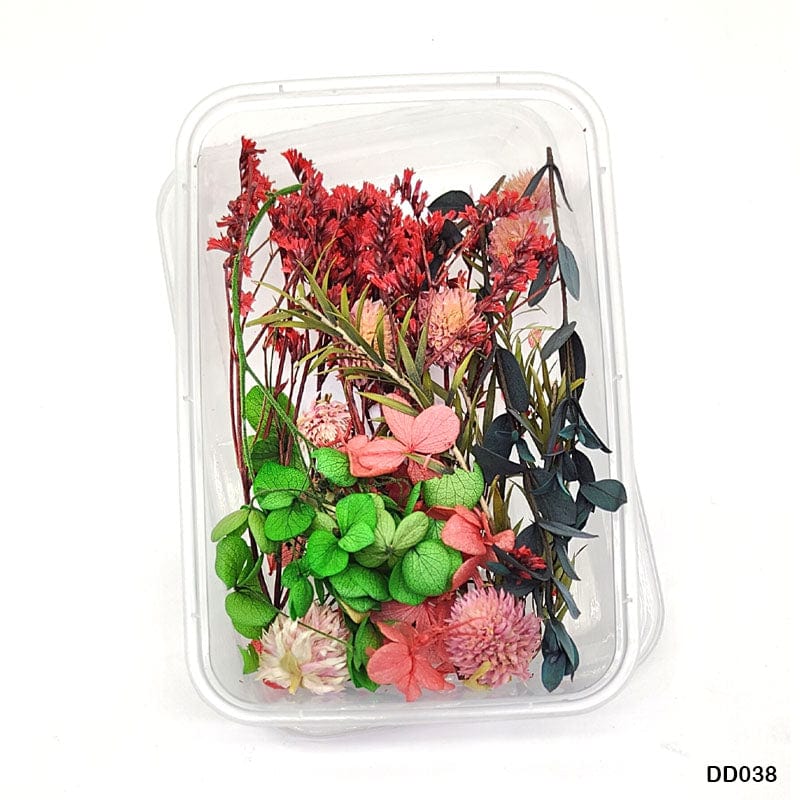 MG Traders 1 Resin Art & Supplies Dd038 Dry Flower Box