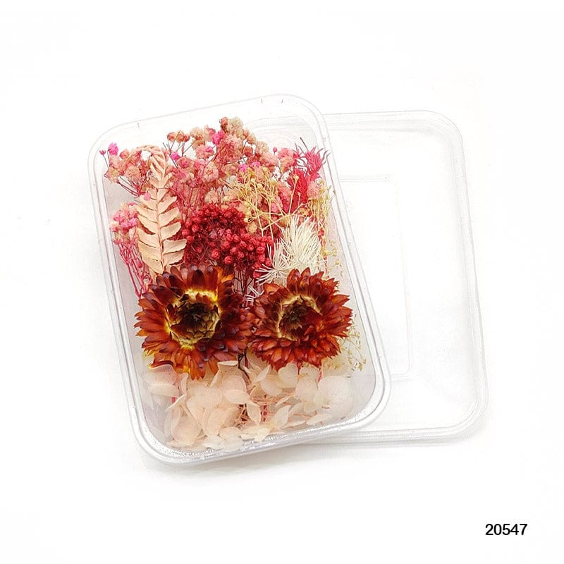 MG Traders 1 Resin Art & Supplies Dry Flower Box Mg205-47