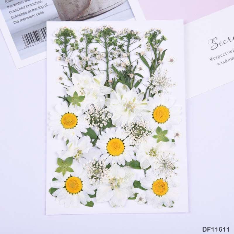 MG Traders Artificial Flower Df116-11 Dry Flower Sheet