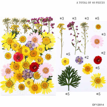 Df128-14 Dry Flower Sheet