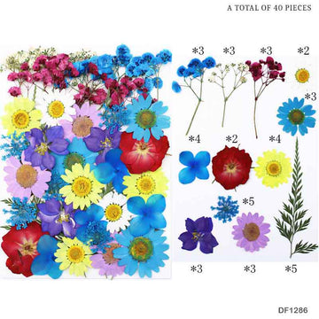 Df128-6 Dry Flower Sheet