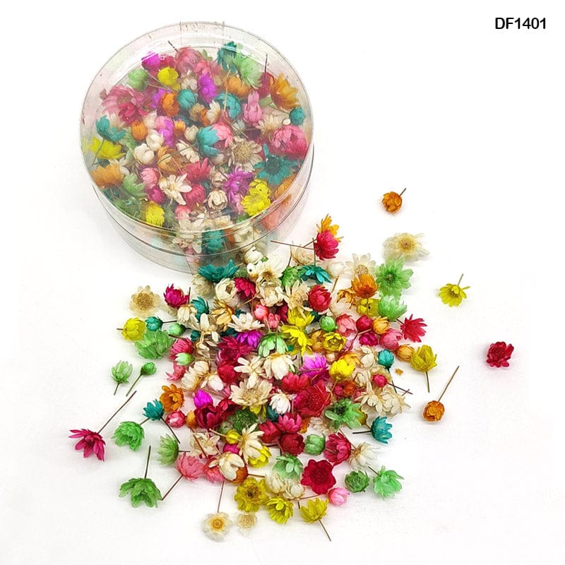 MG Traders Artificial Flower Df1401 Dry Flower 140Pcs Round Box Multi