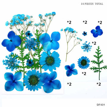 Dry Flower Sheet        Code  Df43-1