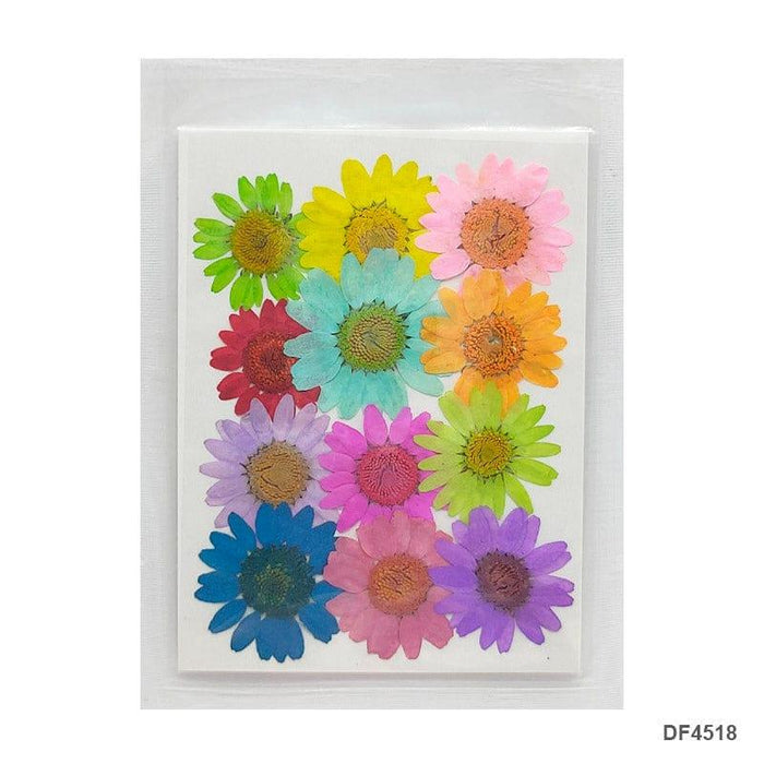 Premium Dry Flower Sheet  l Pack of 1 contains 12  pcs