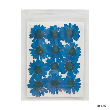 Df45-5 Dry 12 Flower Sheet