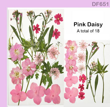 Df65-1 Dry Flower Sheet