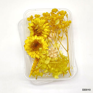 MG Traders Dried Flower Dd010 Dry Flower Box