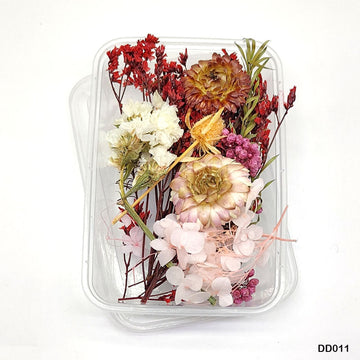 Dd011 Dry Flower Box