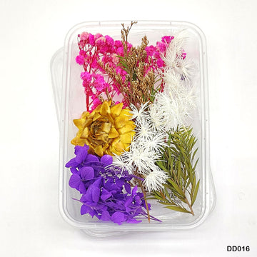 Dd016 Dry Flower Box