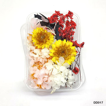 MG Traders Dried Flower Dd017 Dry Flower Box
