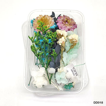 Dd018 Dry Flower Box