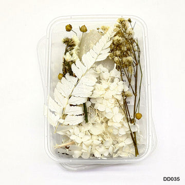 Dd035 Dry Flower Box