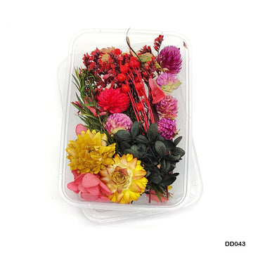 Dd043 Dry Flower Box