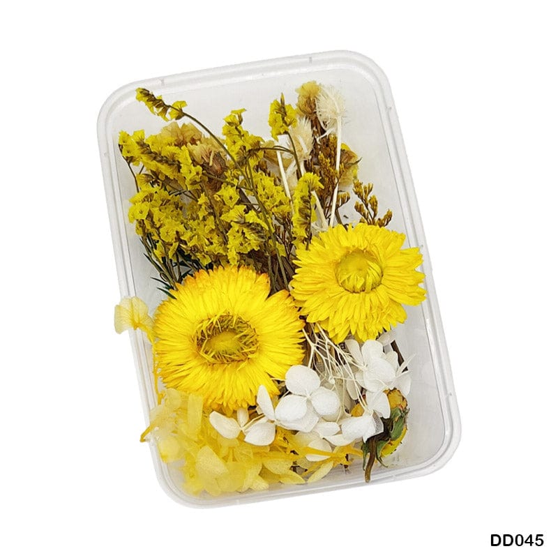 MG Traders Dried Flower Dd045 Dry Flower Box