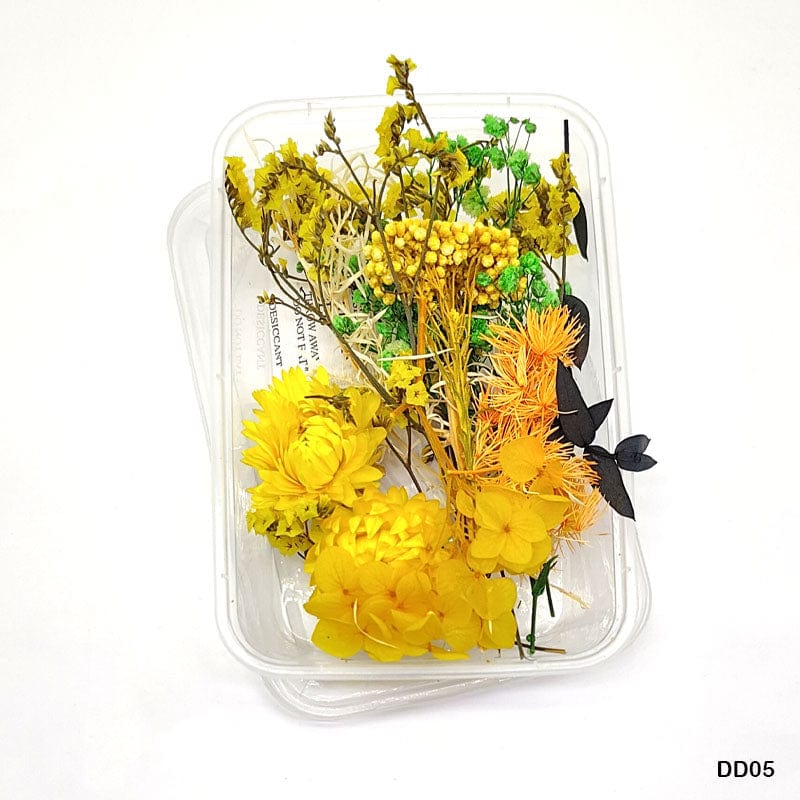 MG Traders Dried Flower Dd05 Dry Flower Box