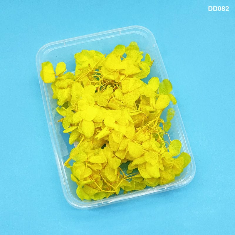 MG Traders Dried Flower Dd082 Dry Flower Box