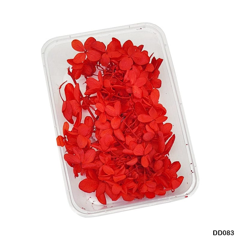 MG Traders Dried Flower Dd083 Dry Flower Box