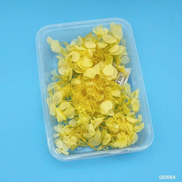 Dried Flowers in Box - Natural Crafting Embellishments | Pack of 1