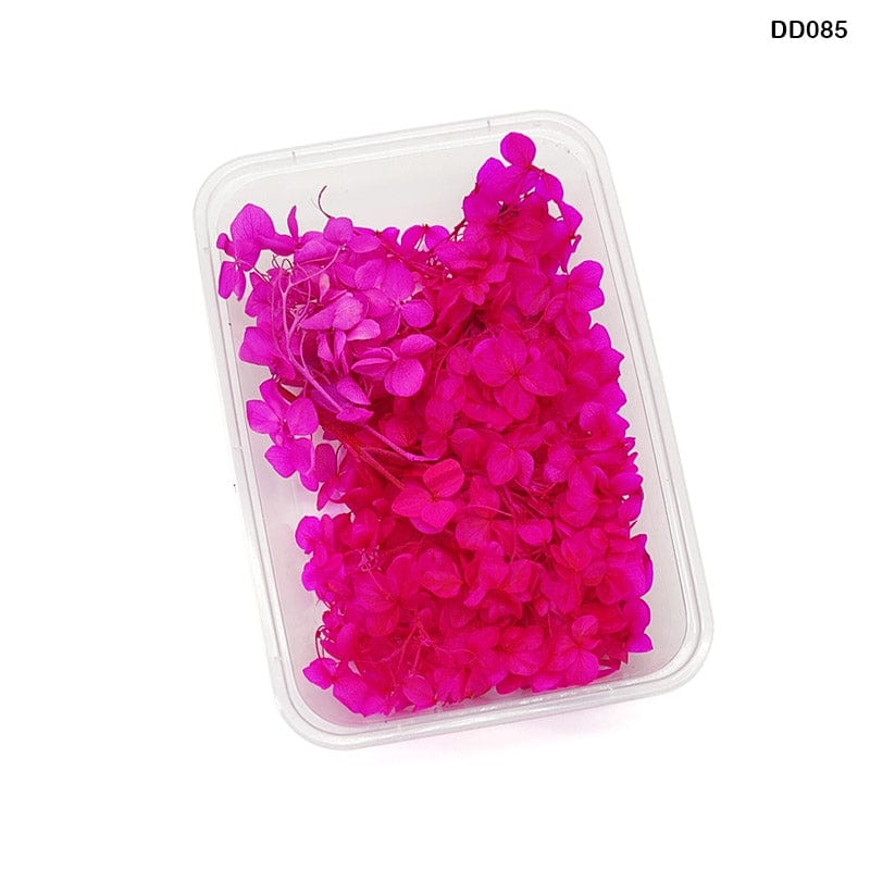 MG Traders Dried Flower Dd085 Dry Flower Box