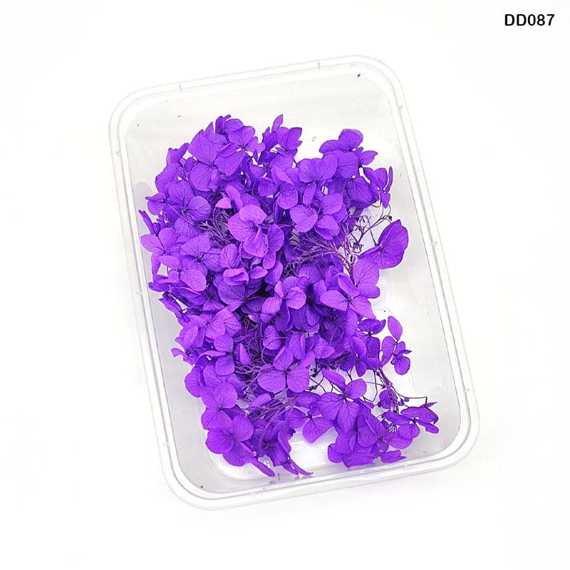 MG Traders Dried Flower Dd087 Dry Flower Box