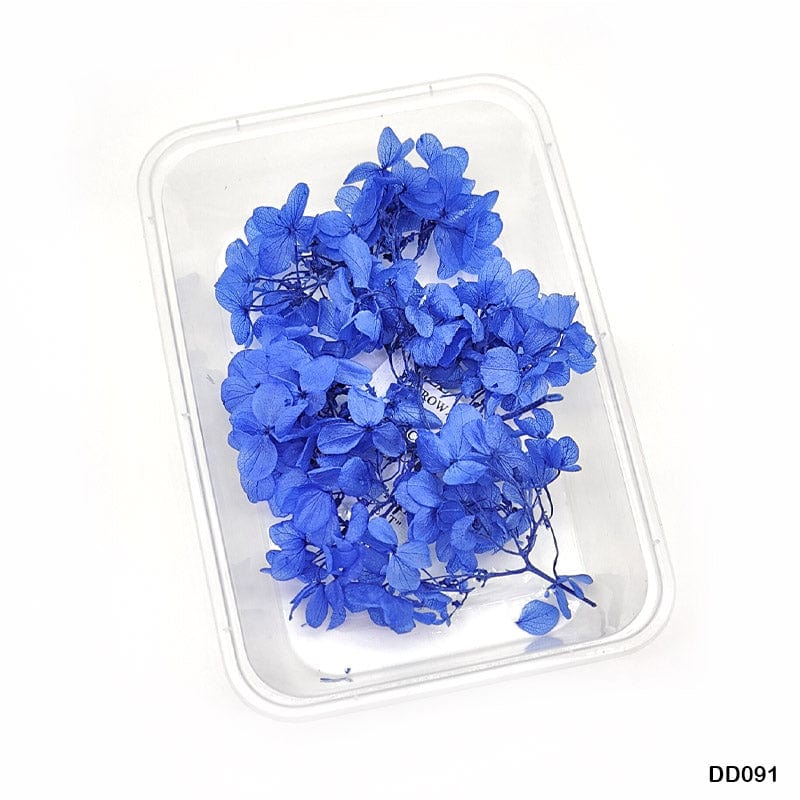 MG Traders Dried Flower Dd091 Dry Flower Box