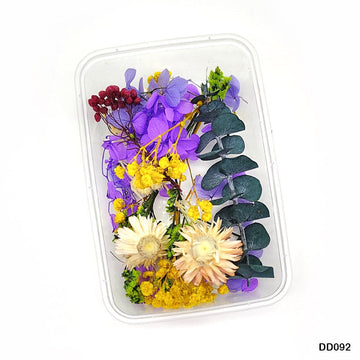Dd092 Dry Flower Box