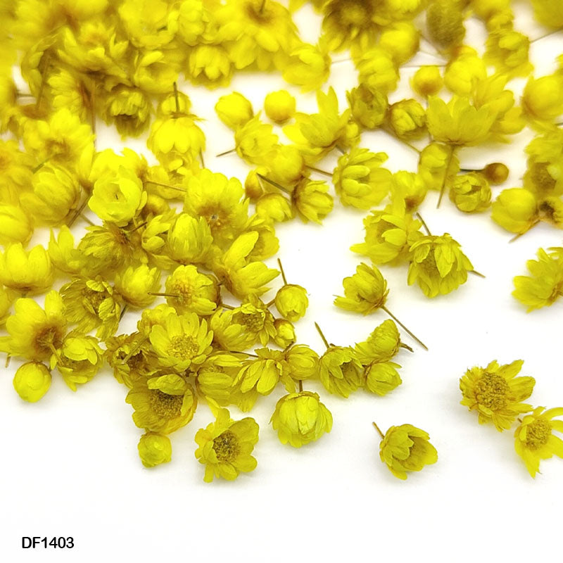 MG Traders Artificial Flower Df1403 Dry Flower 140Pcs Round Box Yellow