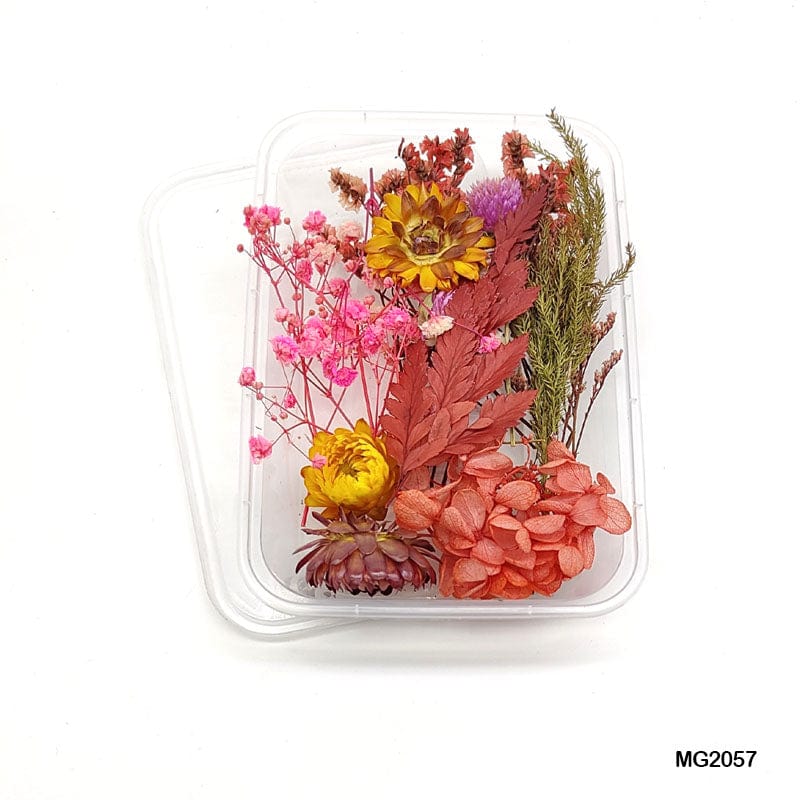 MG Traders Dried Flower Dry Flower Box Mg-205-7