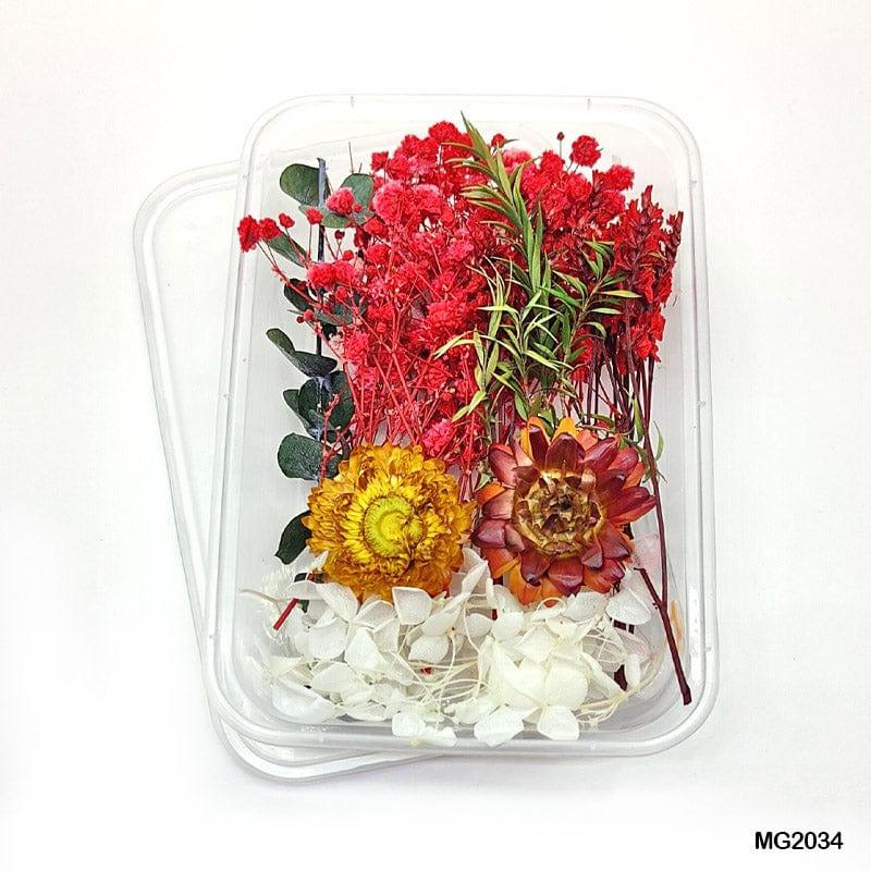 MG Traders Dried Flower Dry Flower Box Mg2034