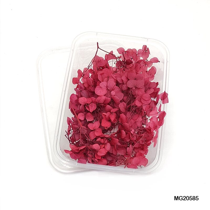 MG Traders Dried Flower Dry Flower Box Mg20585