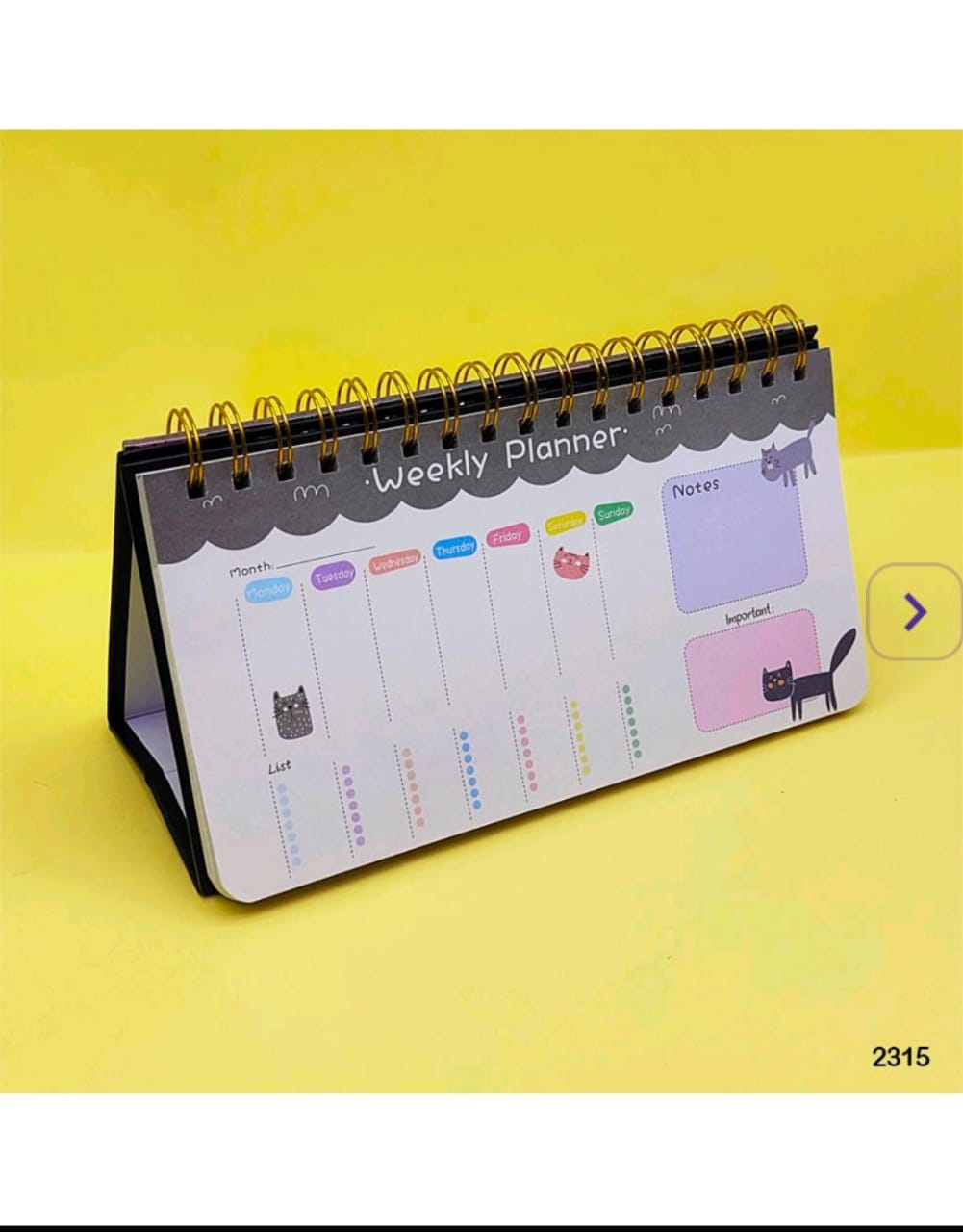 MG Traders Fancy Diary 2315 Planner Cartoon Print Spiral 23X12Cm