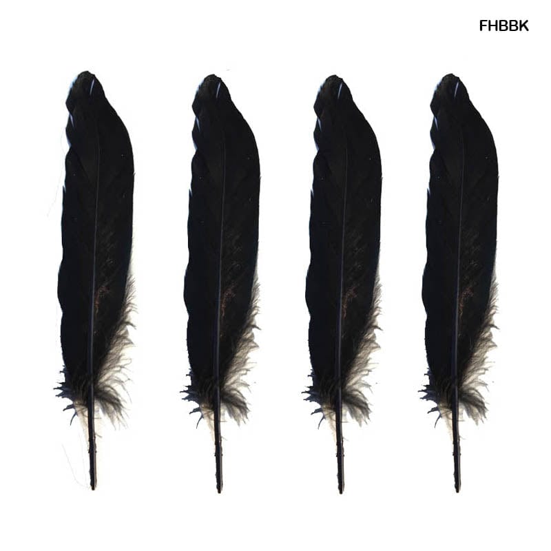 MG Traders Feather Feather Hard Big Black (Fhbbk) (10Pcs)  (Pack of 6)