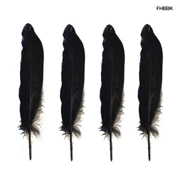 Feather Hard Big Black (Fhbbk) (10Pcs)  (Pack of 6)