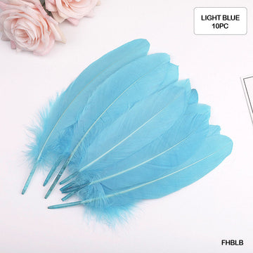 Feather Hard Big L Blue (Fhblb) (10Pcs)