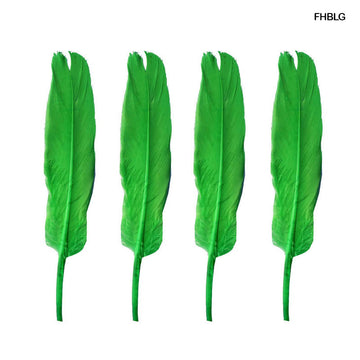 MG Traders Feather Feather Hard Big L Green (Fhblg) (10Pcs)  (Pack of 6)