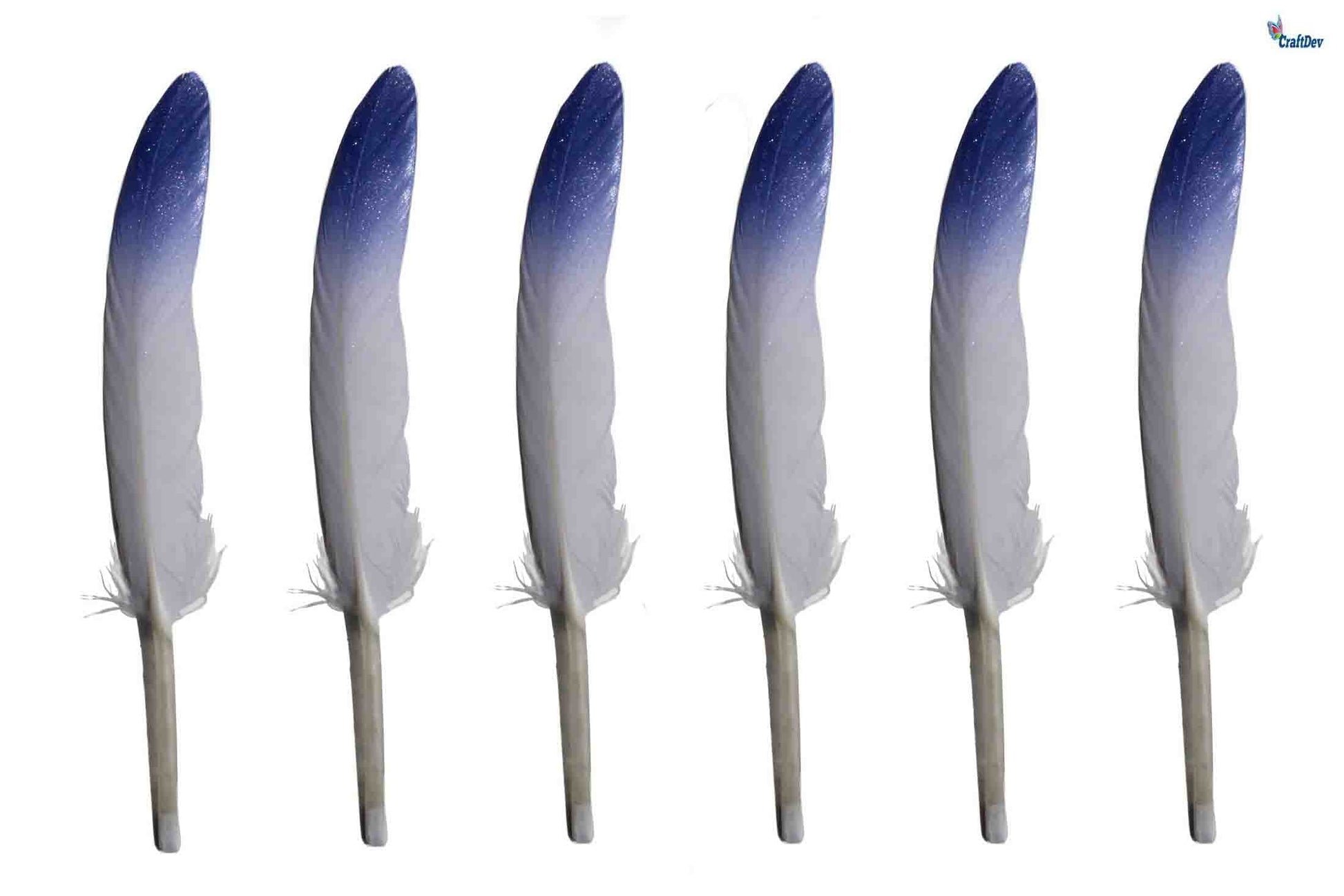 MG Traders Feather Feather Hard Mini 2 Shade 200Pc Blue