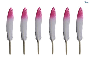 MG Traders Feather Feather Hard Mini 2 Shade 200Pc Pink