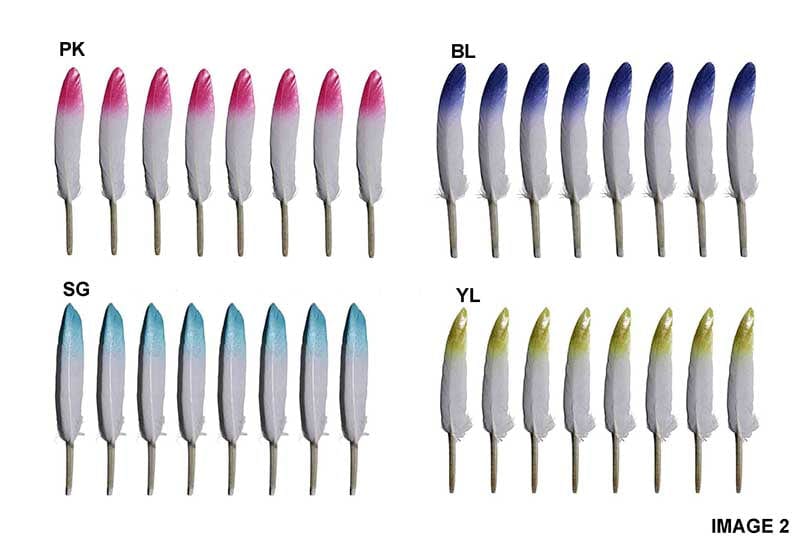 MG Traders Feather Feather Hard Mini 2 Shade Single 8Pcs (F2T)  (Pack of 3)