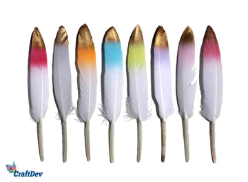 Feather Hard Mini 3 Shade Multi 8Pcs  (Pack of 3)