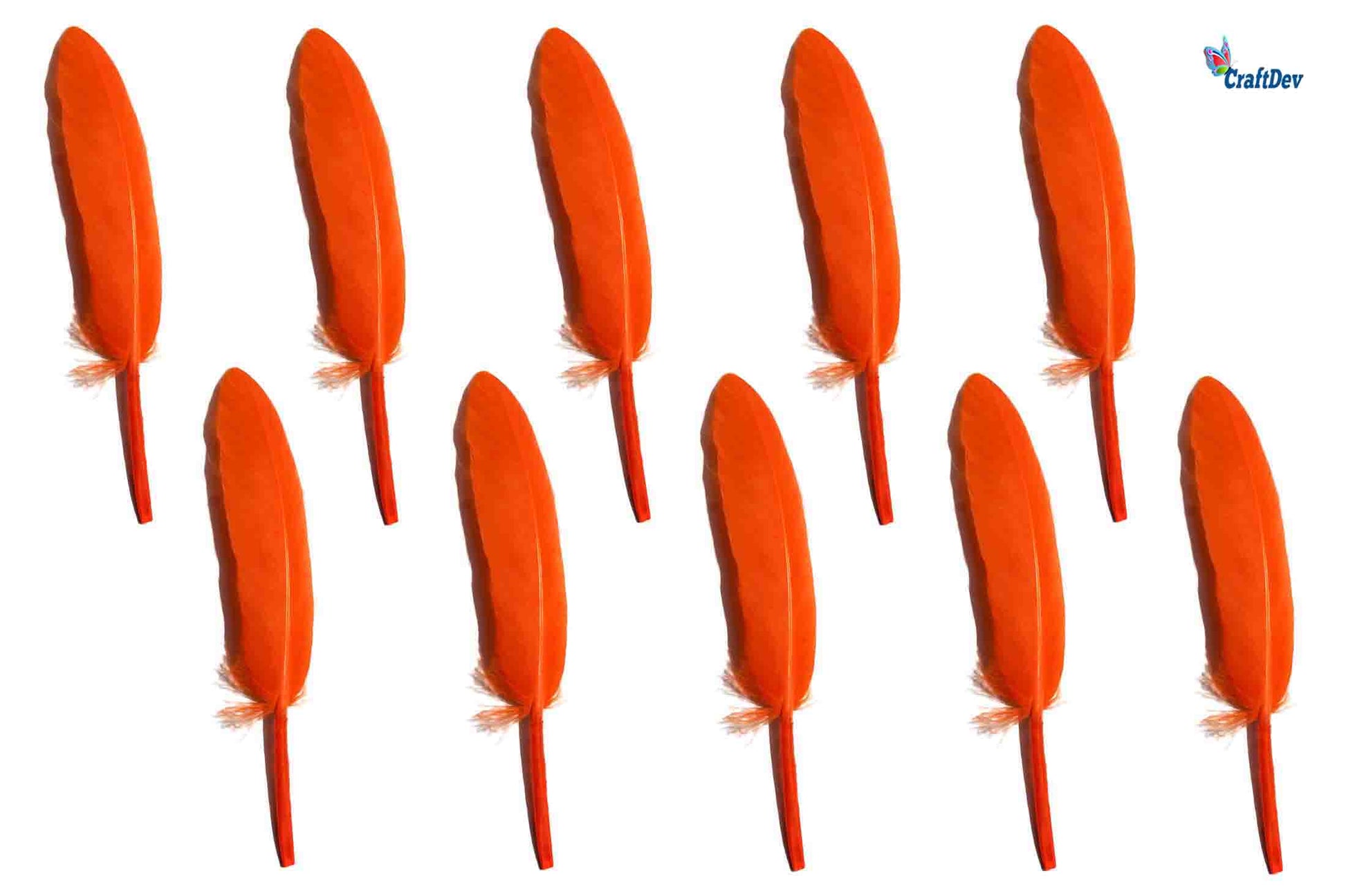 MG Traders Feather Feather Hard Mini 500Pc Orange