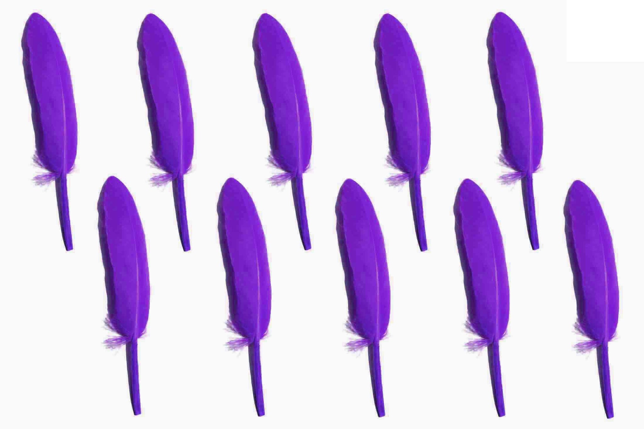 MG Traders Feather Feather Hard Mini 500Pc Purple