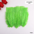 MG Traders Feather Feather Soft Big Light Green (Fsblg) (10Pcs)