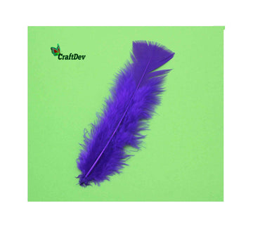 Feather Soft Big Purple (Fsbpl) (10Pcs)
