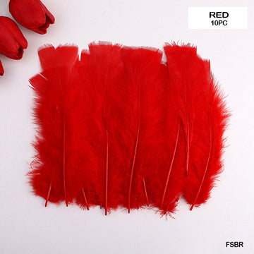 MG Traders Feather Feather Soft Big Red (Fsbr) (10Pcs)