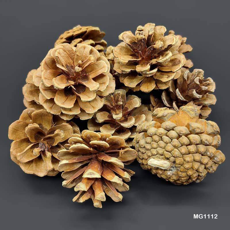 Natural Pine Cones for Rustic Decor & Crafting