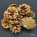 MG Traders MDF & wooden Crafts Wood Flower Pine Cone (Mg1112)