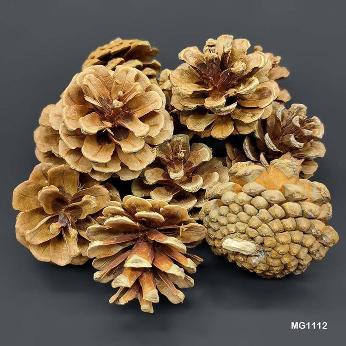 Natural Pine Cones for Rustic Decor & Crafting